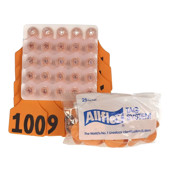 ALLFLEX: LARGE - FEM/SM - GREEN - 1-25