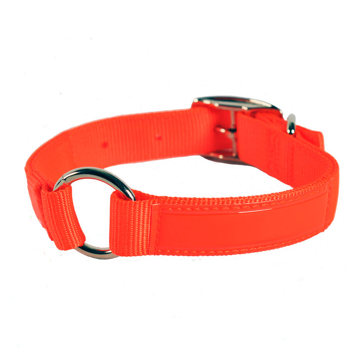 Center Ring Reflexite Hunting Collar 1" x 20"