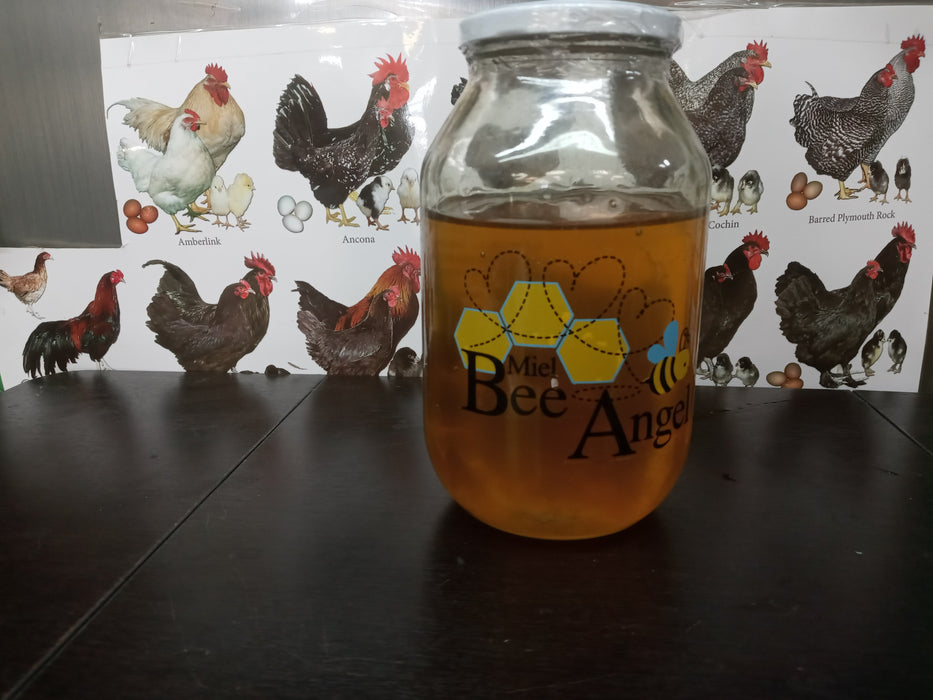 Bee Angel All Natural Honey - Miel small