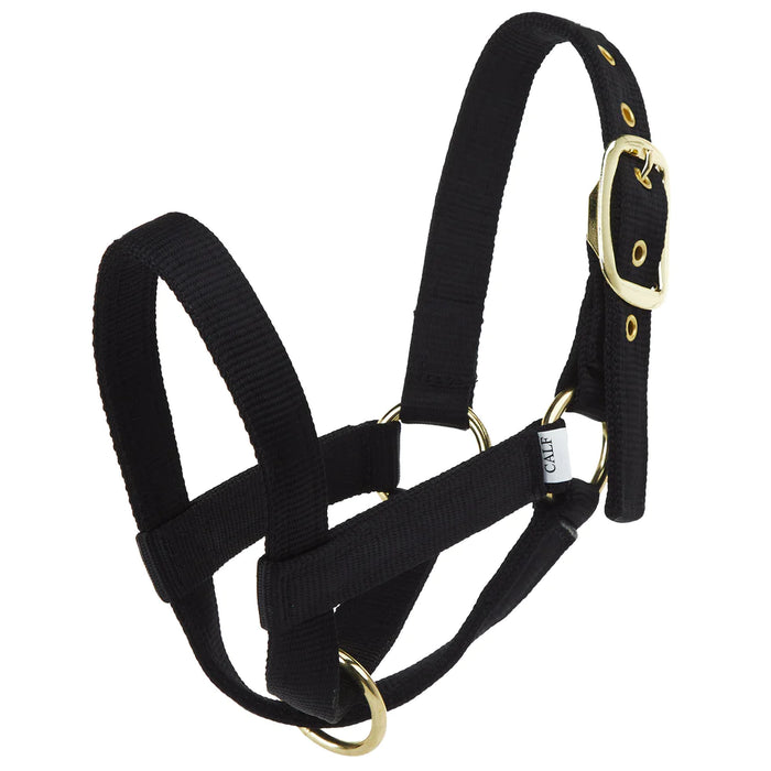 CALF HALTER TURN OUT - BLACK