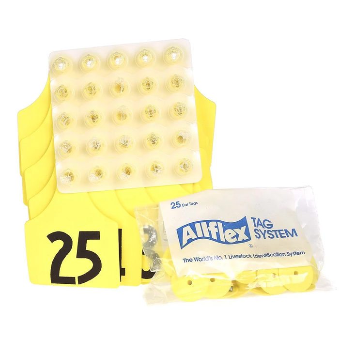 ALLFLEX: LARGE - FEM/SM - GREEN - 1-25