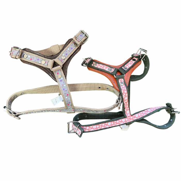 Economy dog harness with leather - pechera para perro - MEDIUM