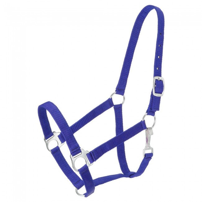 ROYAL BLUE Economy Nylon Halter Yearling