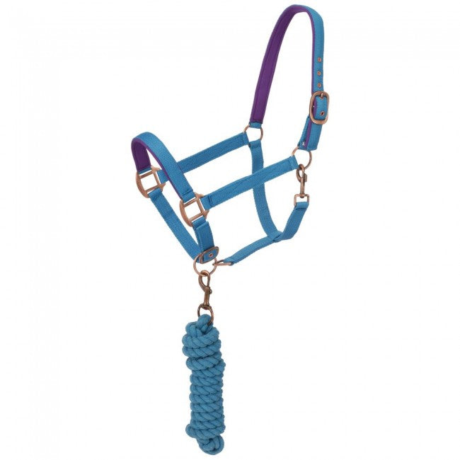 AQUA BLUE - Neoprene Padded Halter with Lead Set