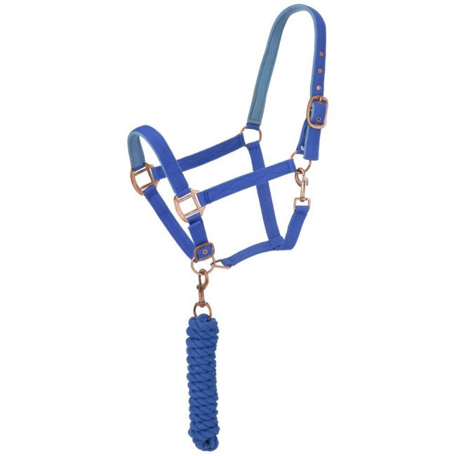 ROYAL BLUE - Neoprene Padded Halter with Lead Set