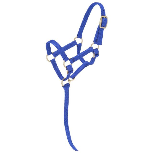 TOUGH1 MINIATURE NYLON PADDED HALTER - LARGE- ROYAL BLUE