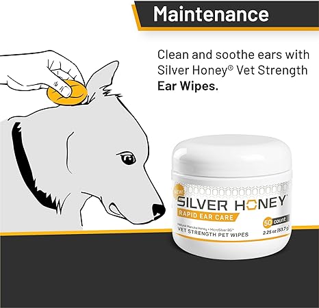 Absorbine Silver Honey Rapid Ear Care Vet Strength Pet Wipes, 50ct, Manuka Honey & MicroSilver BG