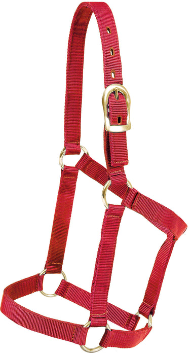 Regular 1" Poly Halter - RED