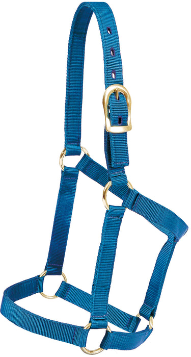 Regular 1" Poly Halter - BLUE