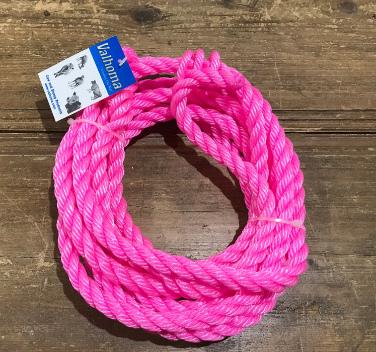 SHEEP HOLDING HALTER PINK