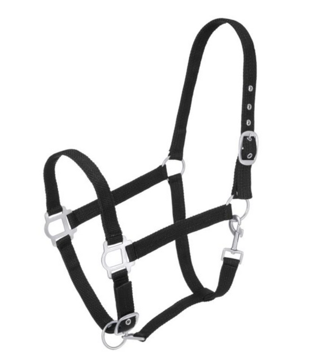 BLACK - Tough-1 Nylon Halter with Satin Hardware