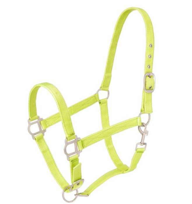 NEON GREEN - Tough-1 Nylon Halter with Satin Hardware