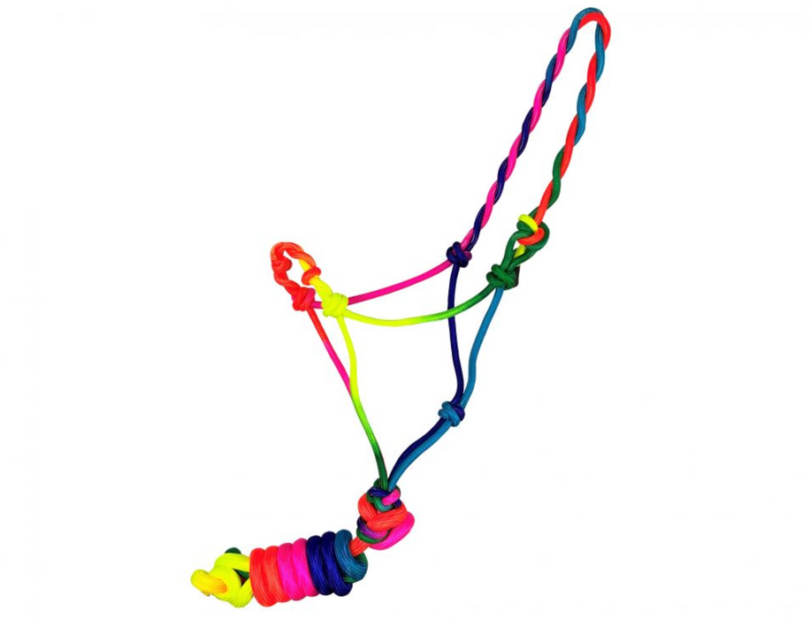 Mini/Small Pony Rainbow Halter