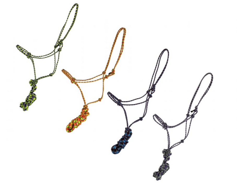 Horse Size Stiff Rope Knot Halter w/ matching Removeable Lead