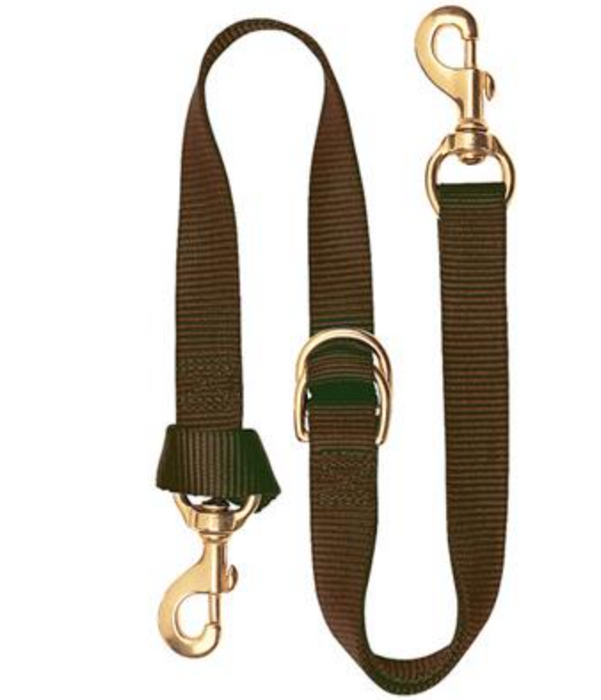 ADJUSTABLE TIE DOWN, 1" , BROWN