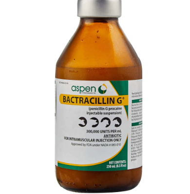 BACTRACILLIN G® INJECTABLE SUSPENSION U.S.P. 250 ML