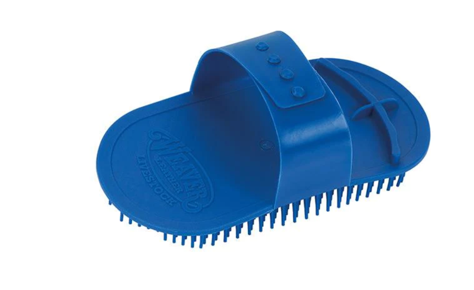 Massage Brush - BLUE