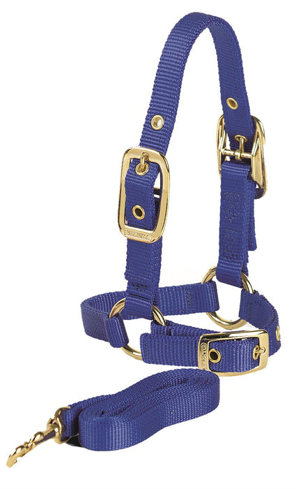 SHEEP HALTER W/LEAD GREEN