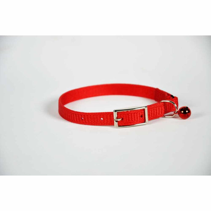 Cat collar skinny - 8" - Turquoise