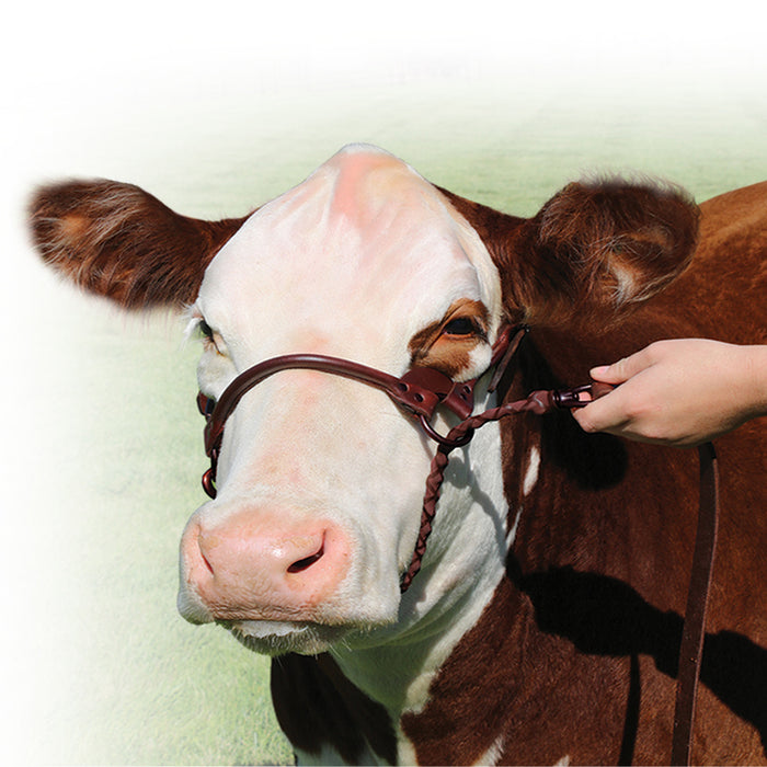 1st-Class Show Halter - Brown Large