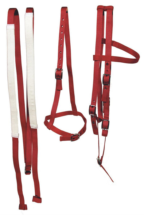 RACE BRIDLE SET (Bridle, Caveson & Reins)