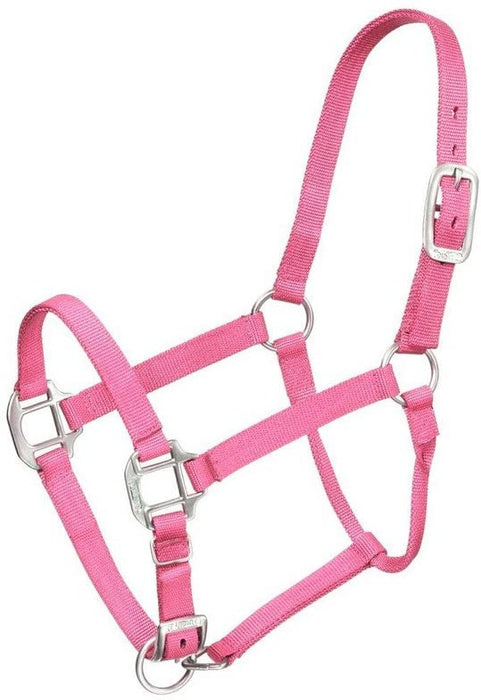 YEARLING Premium Nylon Halter