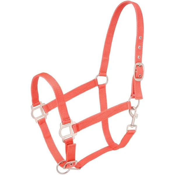 ORANGE Economy Nylon Halter Yearling