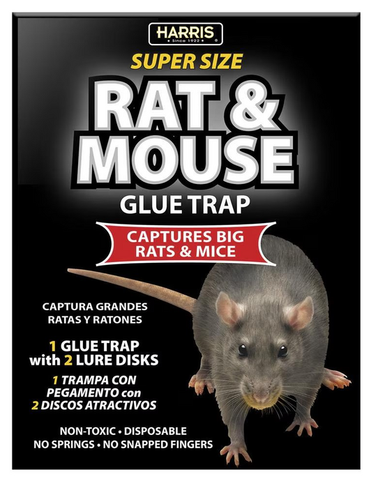 Black Rat Glue Trap Boad