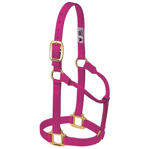 Original Non-Adjustable Halter 1" -  Weanling Pony Raspberry