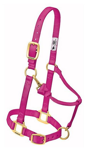Original Adjustable Chin and Throat Snap Halter,  3/4" Weanling/Pony