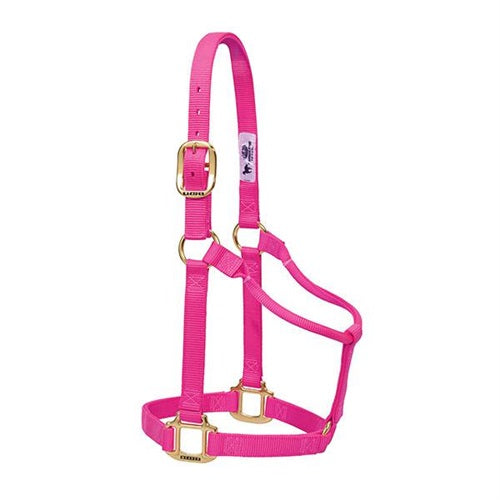 Original Non-Adjustable Halter 1" - Yearling Diva Pink