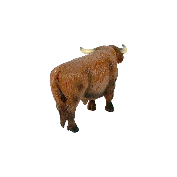 Highland Bull