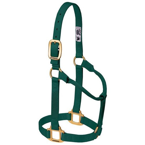 Original Non-Adjustable Halter 1" - Small Hunter Green