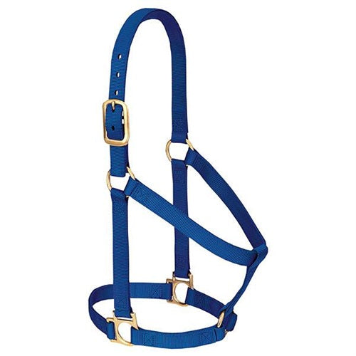 Basic Non-Adjustable Halter - Large Blue