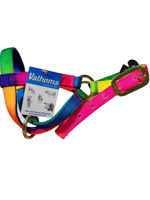 Valhoma: Halter - Goat Billy- Rainbow