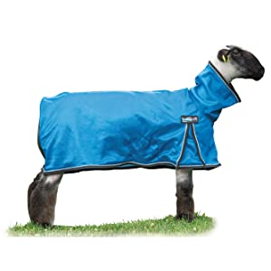 ProCool™ Sheep Blanket with Reflective Piping - Medium Blue or