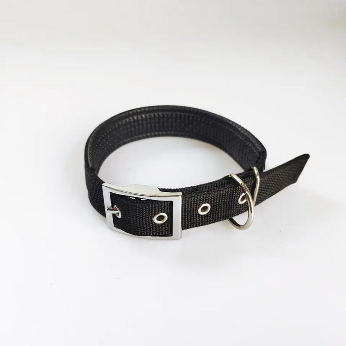 DOG COLLAR,  NYLON - XXLARGE SIZE