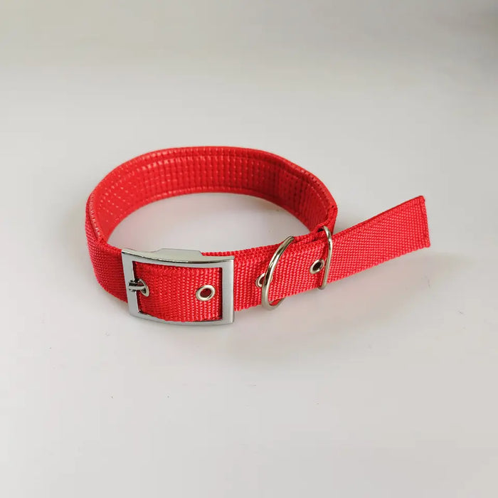 DOG COLLAR,  NYLON - MEDIUM SIZE