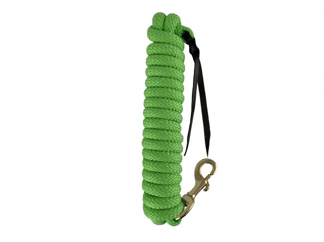 SHOWMAN 14' LEATHER END NYLON PRO BRAID TRAINING LEAD WITH BRASS SNAP