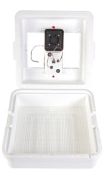 Little Giant: Circulated Air Incubator