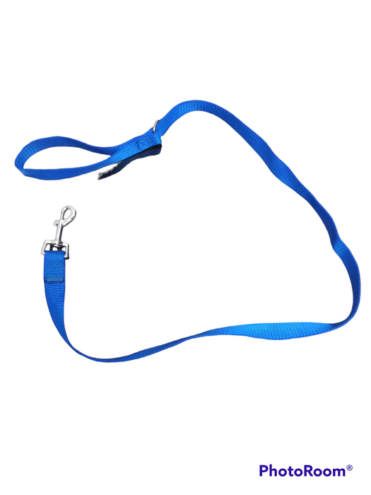 Puppy leash XL- Blue