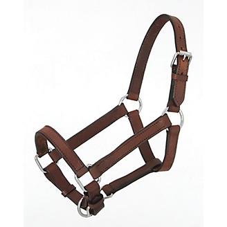 Miniature Leather Halter