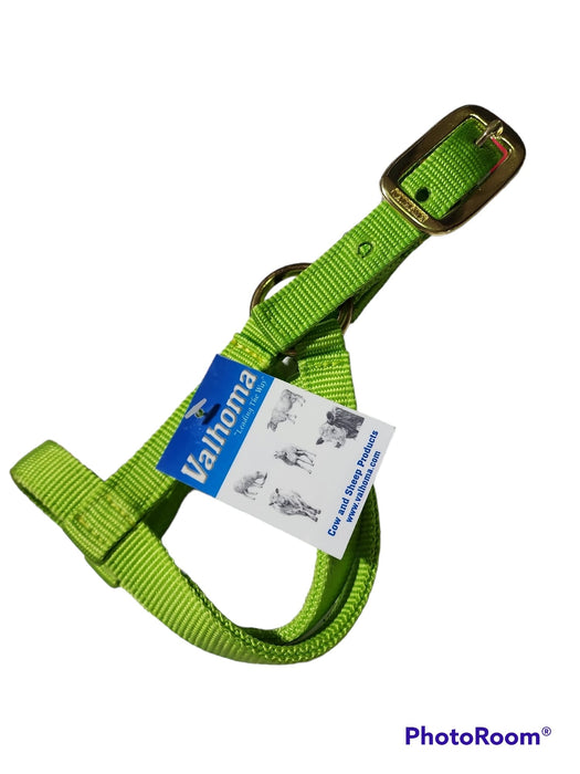 Valhoma: Halter - Goat Billy - Lime Green