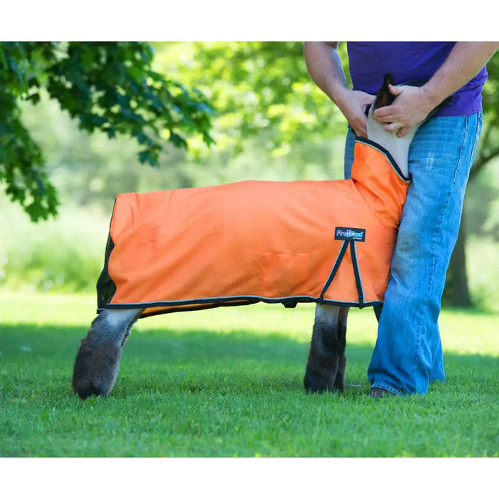 ProCool™ Sheep Blanket with Reflective Piping - Large Orange
