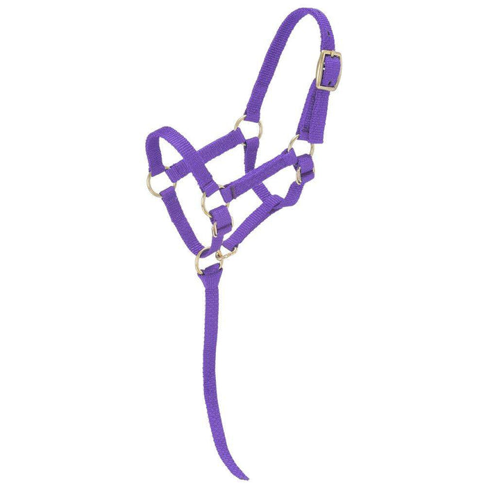 Adjustable Nylon Miniature Halter REG